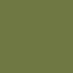 Cactus 333E