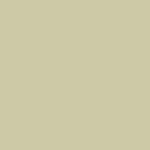 Cardamome 342C