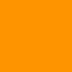 Citrouille 027 D