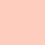 Flamand rose 072 B