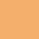 Melon 027 C