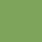 MENTHE 297 E