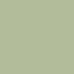 Pistache 306 D