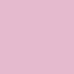 Rose barbapapa 117 C