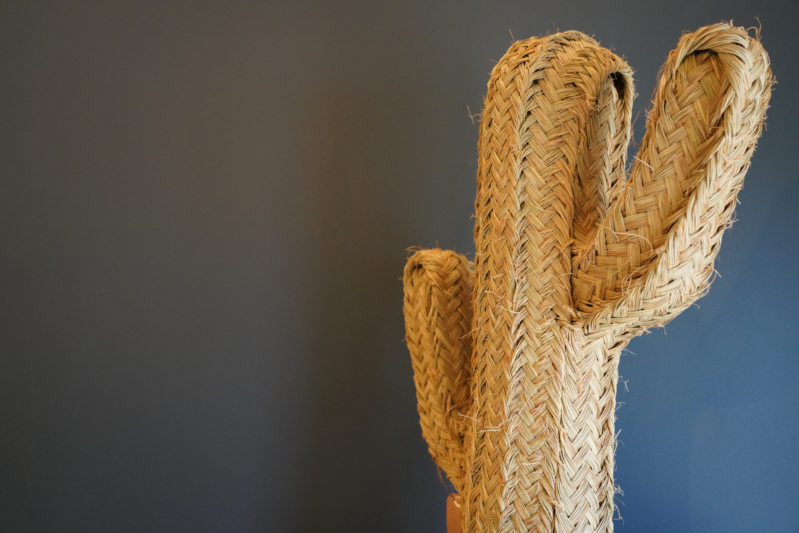 Laque Alkyde d'origine végétale en phase aqueuse