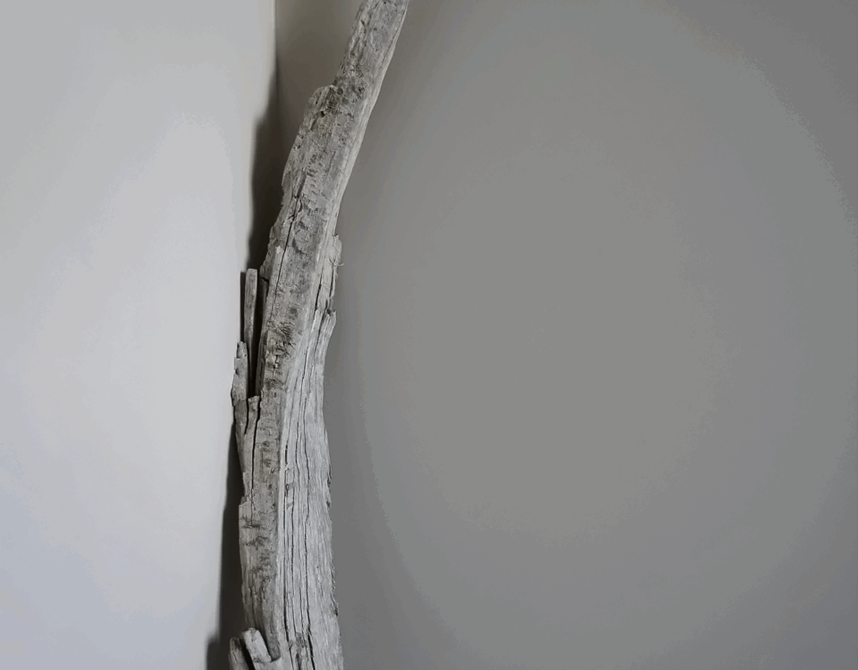 Préparation des supports