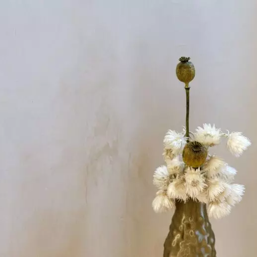 chaux en pâte fine, marmorino et badigeon