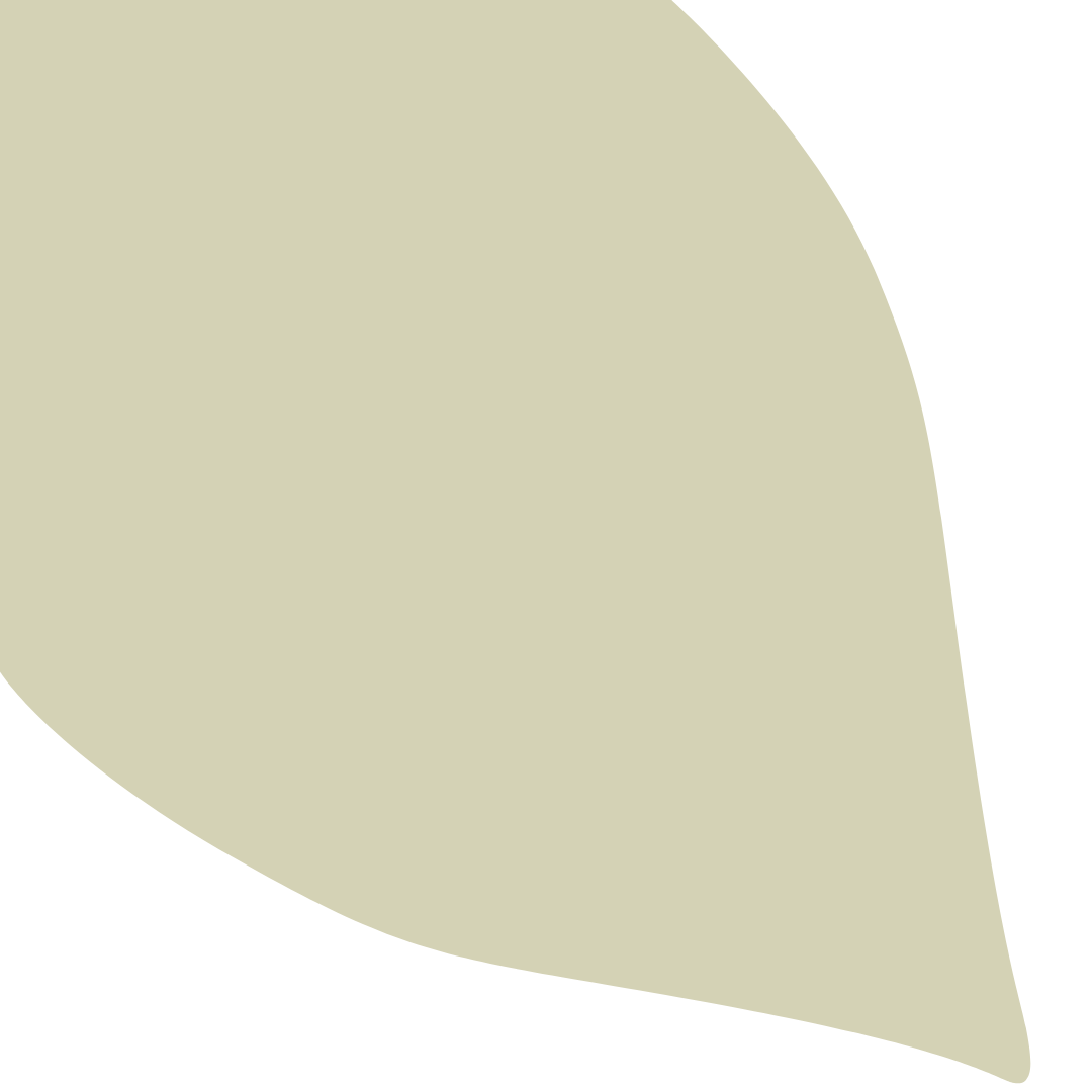 Echantillon Feuille Grand Format - Fenouil 342C