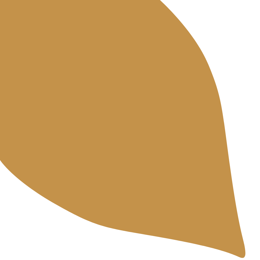 Echantillon Feuille Grand Format - Figuerolles 018E