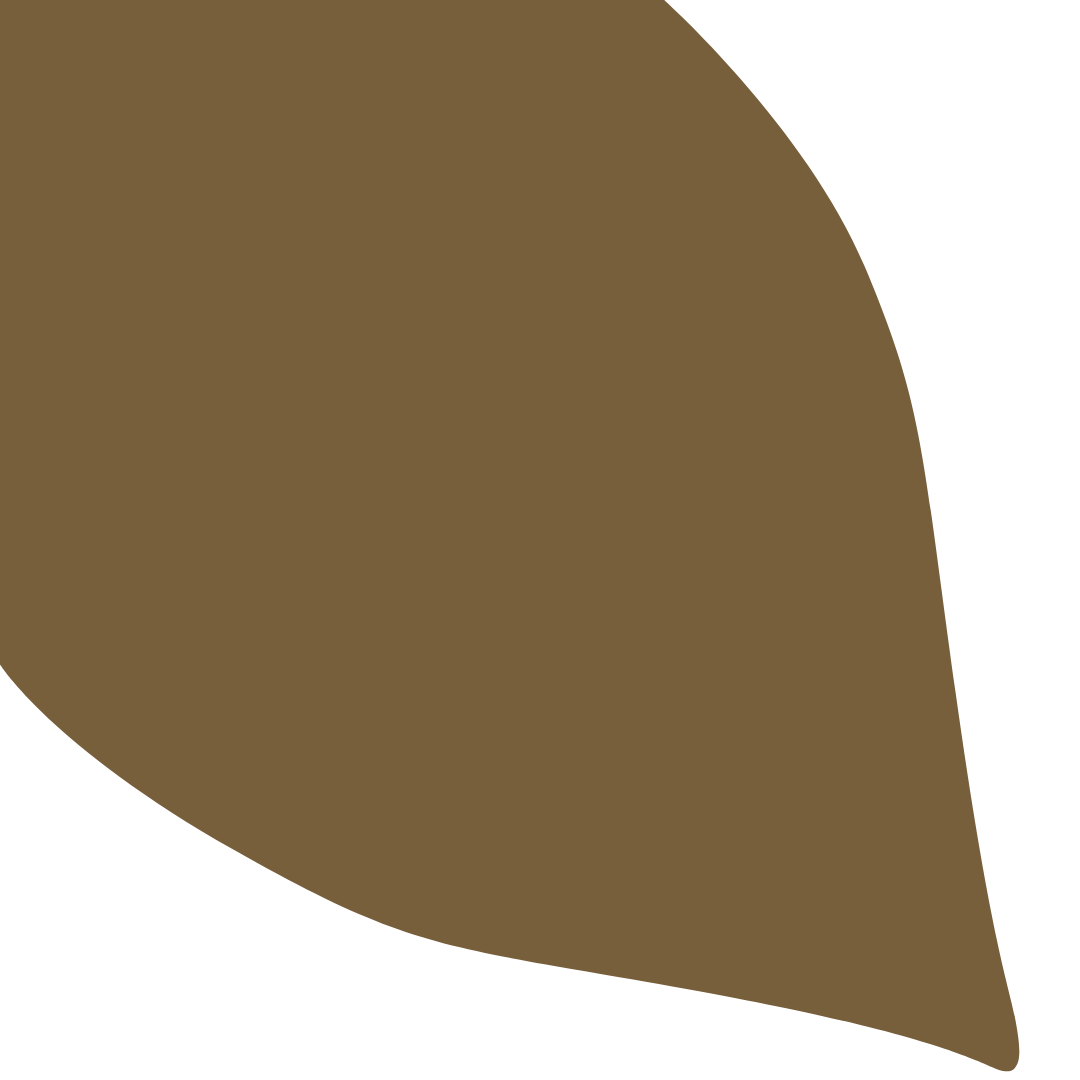 Echantillon Feuille Grand Format - Sève brulée 009F