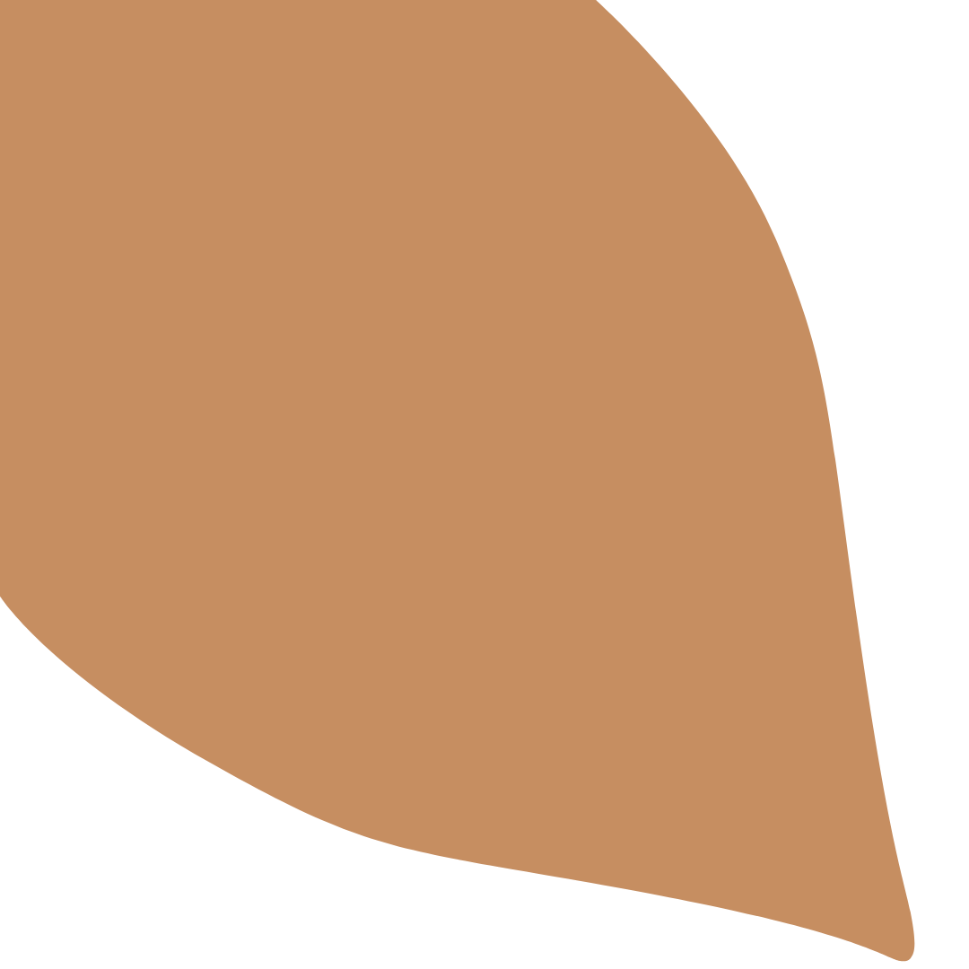 Echantillon Feuille Grand Format - Pétra 036E