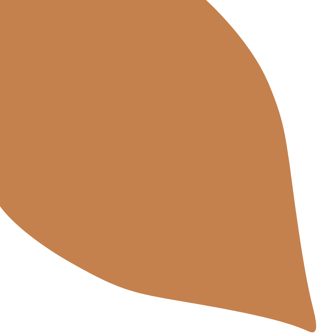 Echantillon Feuille Grand Format - Renard 036E