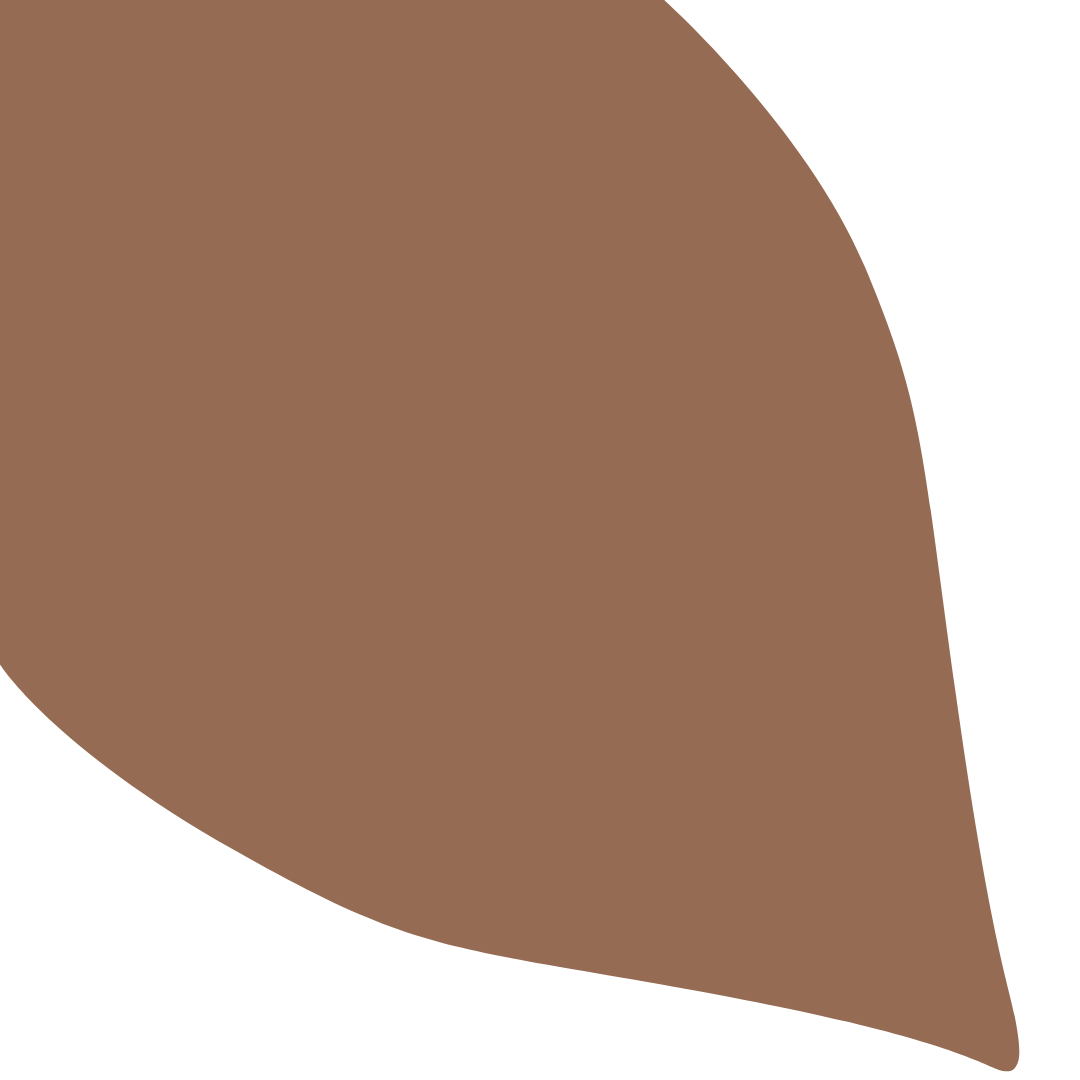 Echantillon Feuille Grand Format - Havane 045F