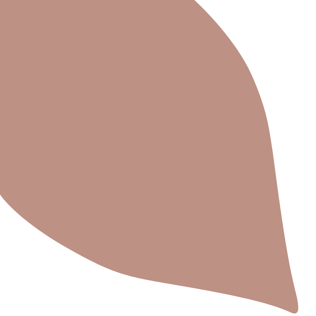 Echantillon Feuille Grand Format - Rose souvenir 072E