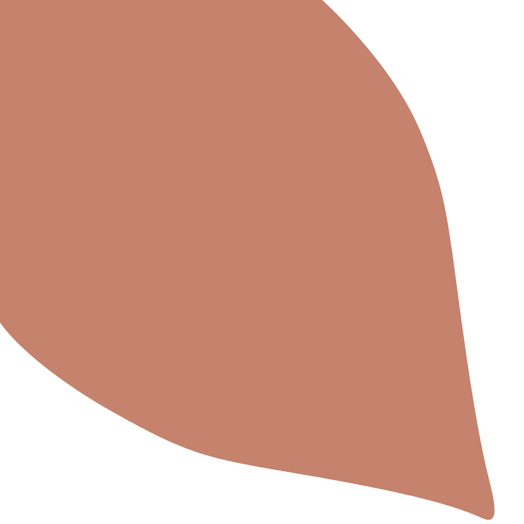 Echantillon Feuille Grand Format - Canaille 063E