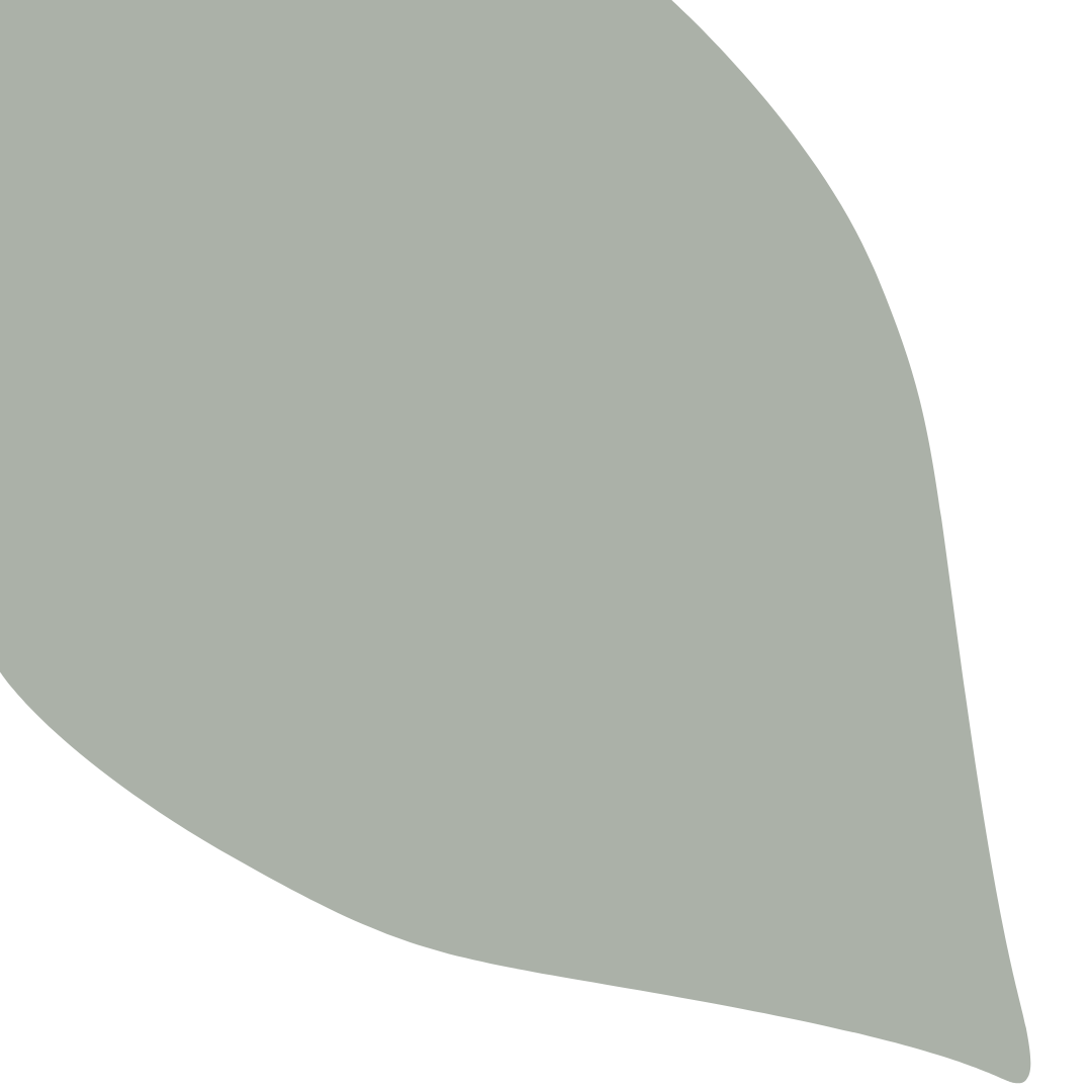 Echantillon Feuille Grand Format - Eucalyptus 288D