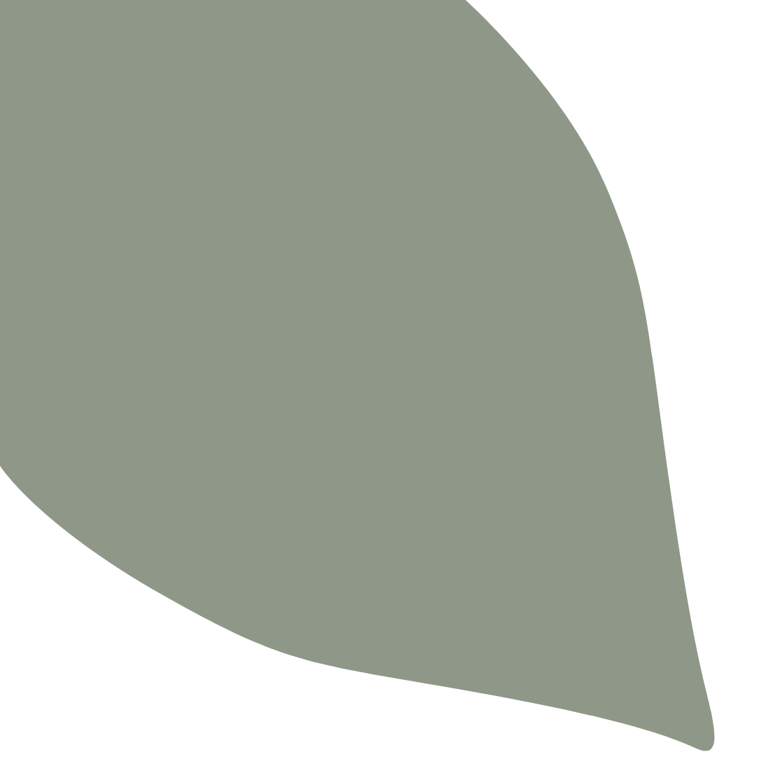 Echantillon Feuille Grand Format - Olivier 297E