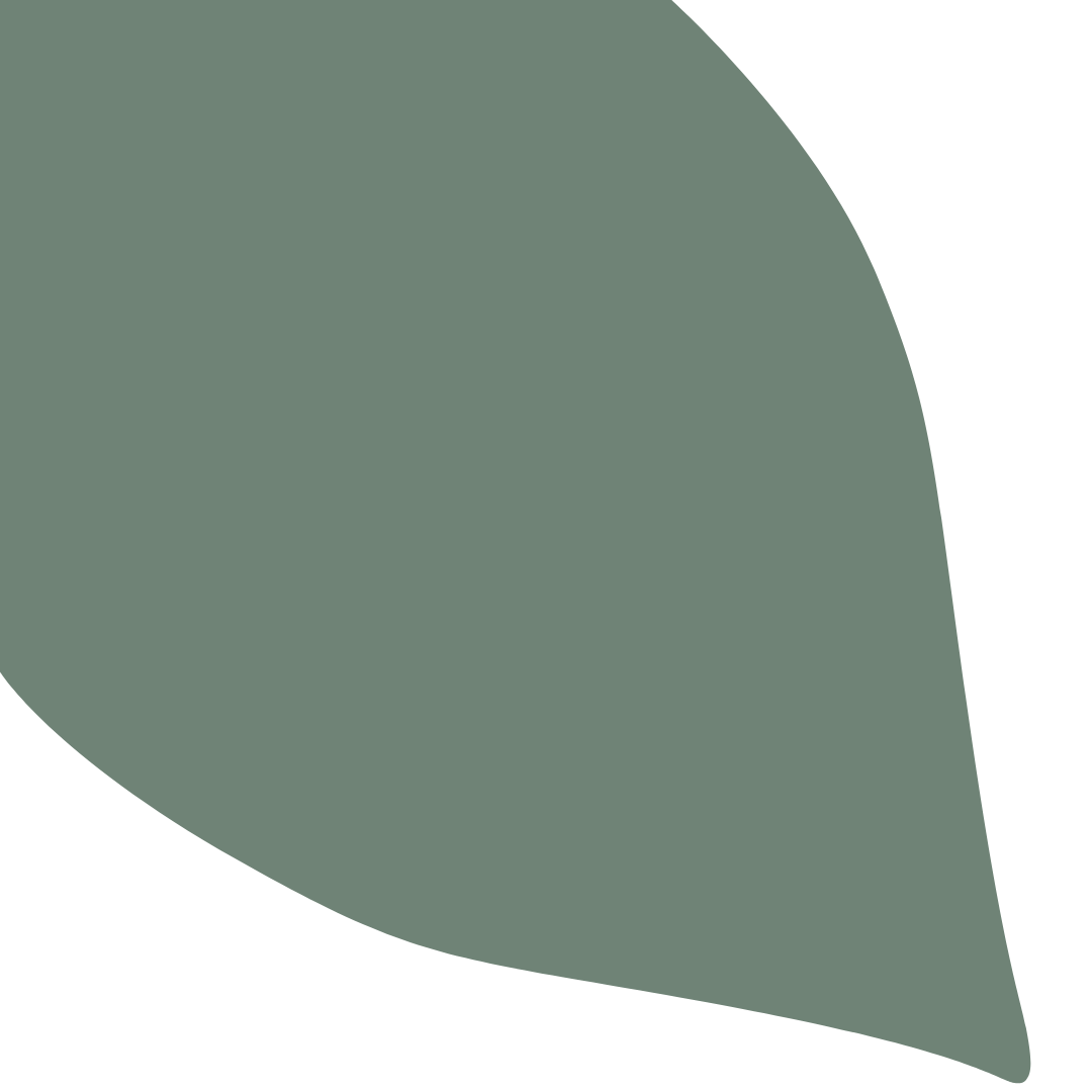 Echantillon Feuille Grand Format - Cèdre du Liban 279F