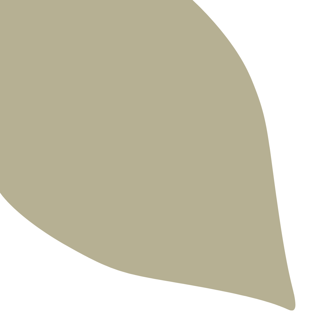 Echantillon Feuille Grand Format - Pignon 351D