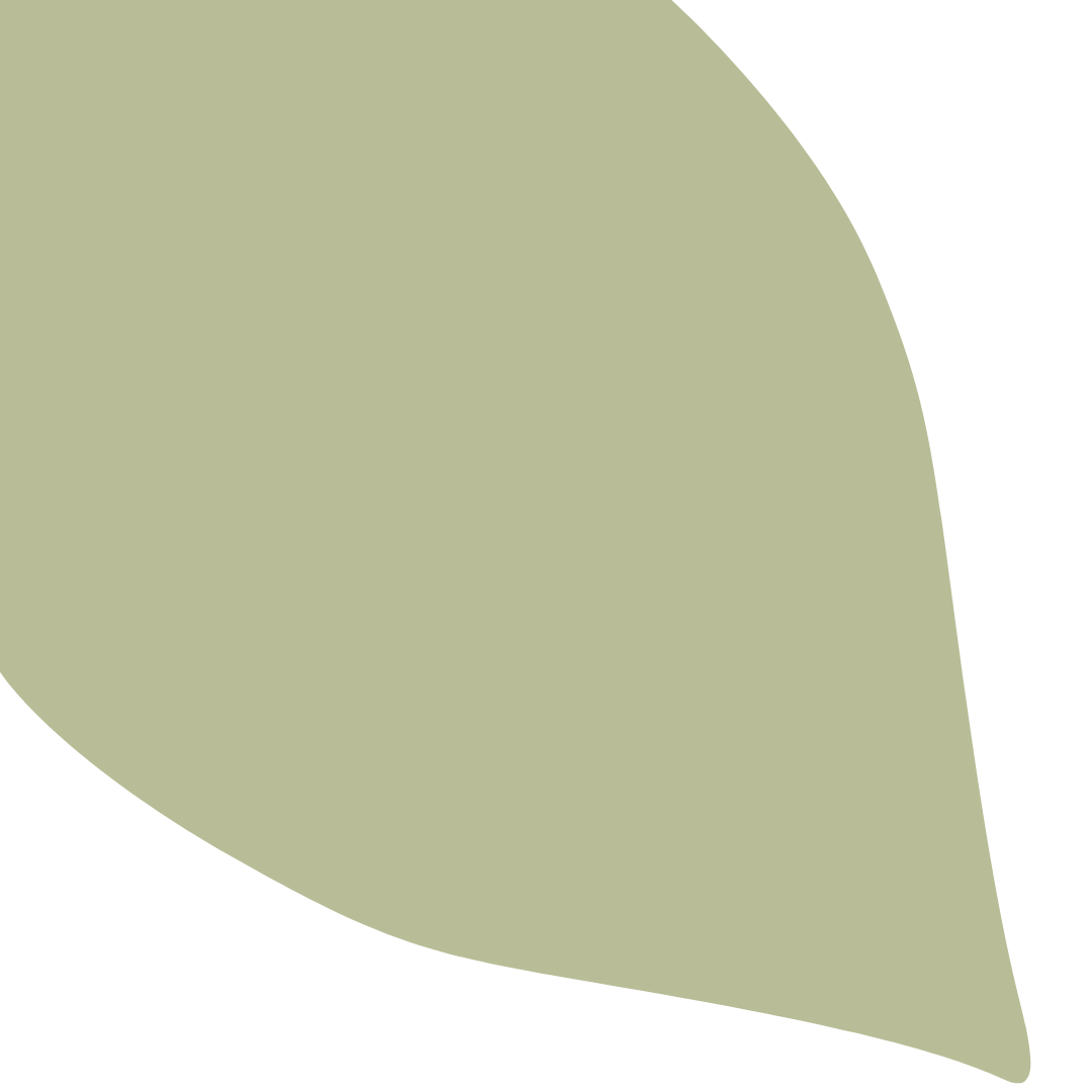 Echantillon Feuille Grand Format - Sauge 315D