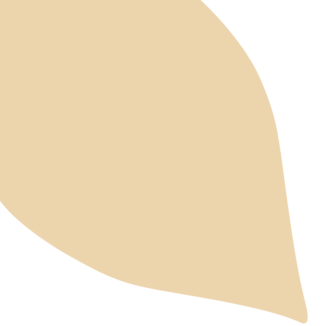 Echantillon Feuille Grand Format - Coloquinte 018B