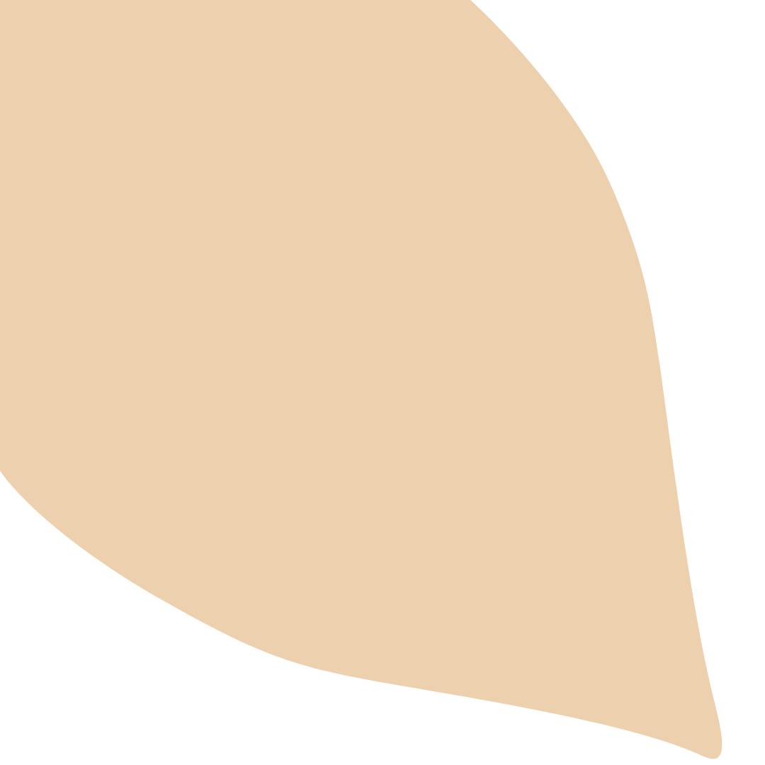 Echantillon Feuille Grand Format - Rose Des Sables 027B