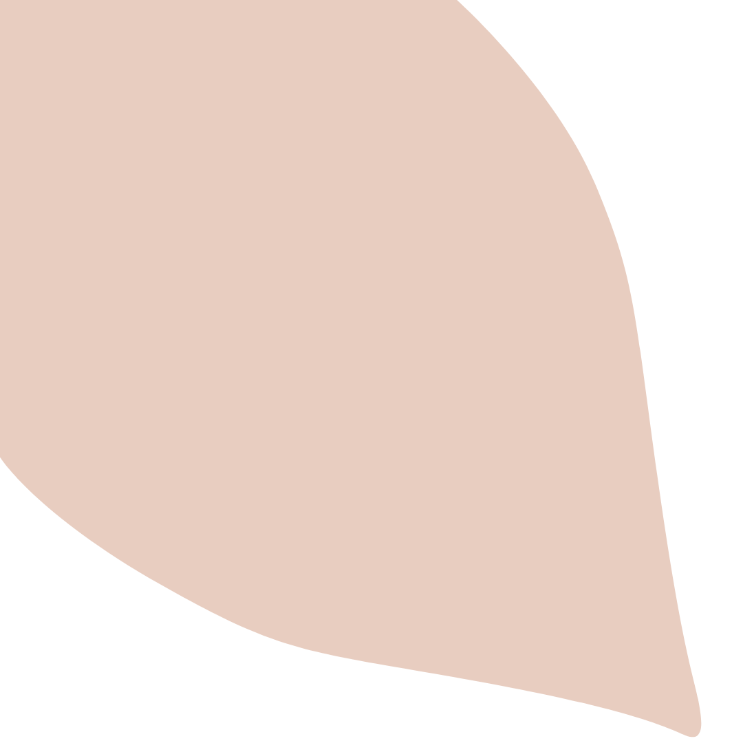 Echantillon Feuille Grand Format - Beige Rose 063C