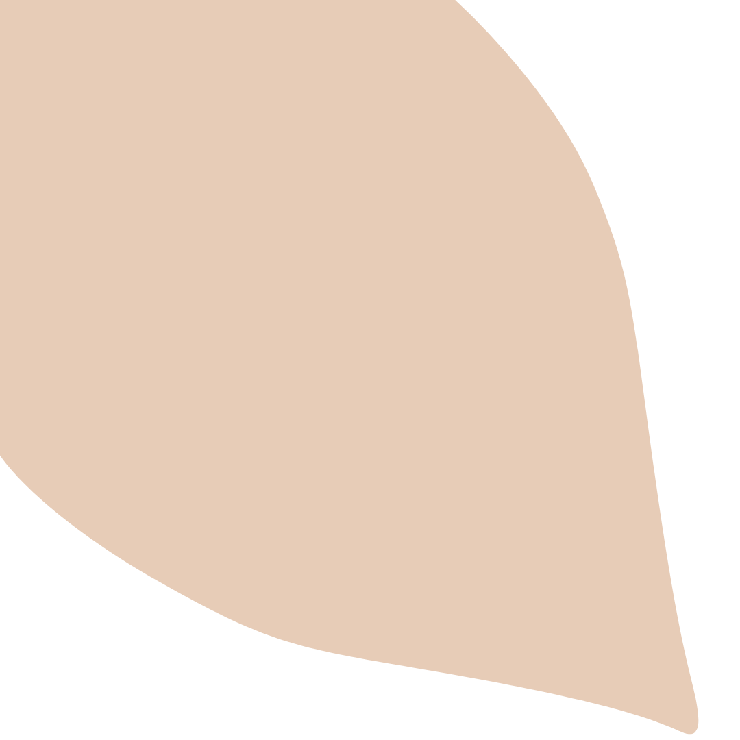 Echantillon Feuille Grand Format - Ballerine 045C