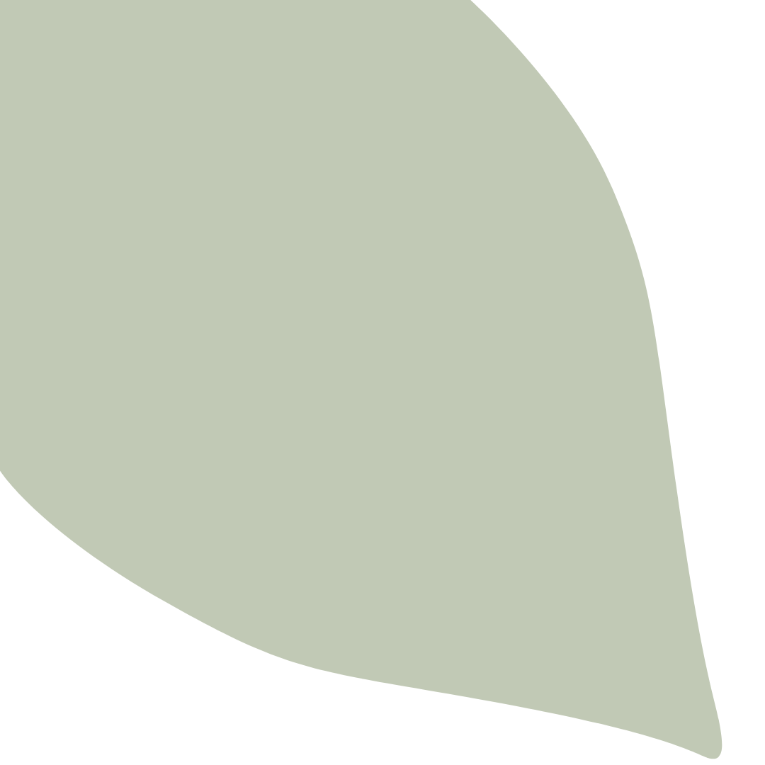 Echantillon Feuille Grand Format - Platane 306C