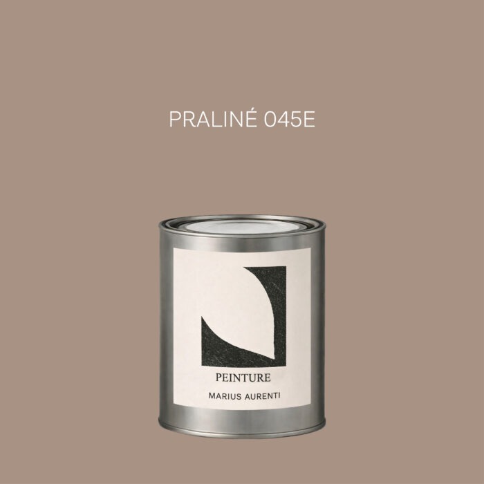 Peinture Praliné 045E