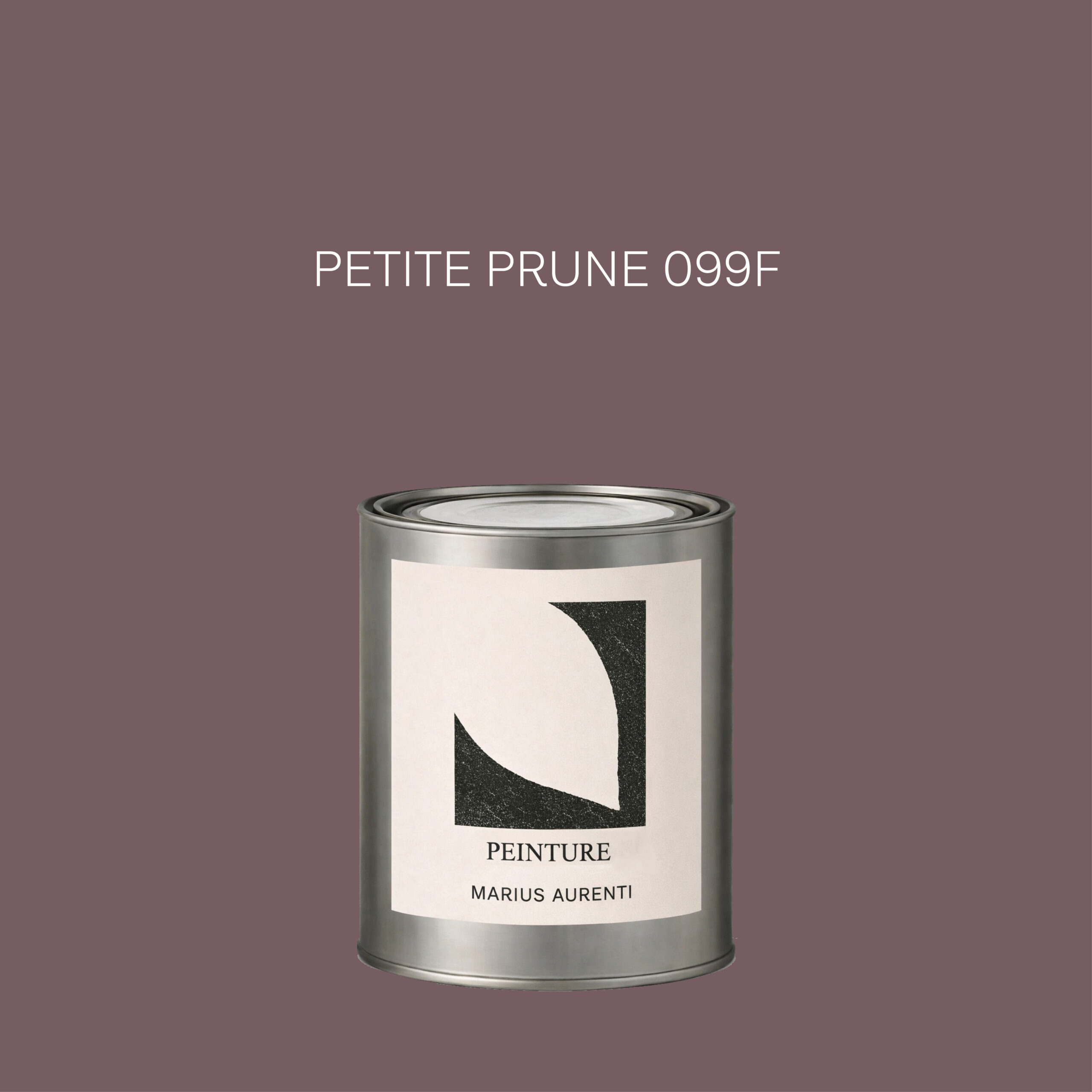 Peinture Petite prune 099F