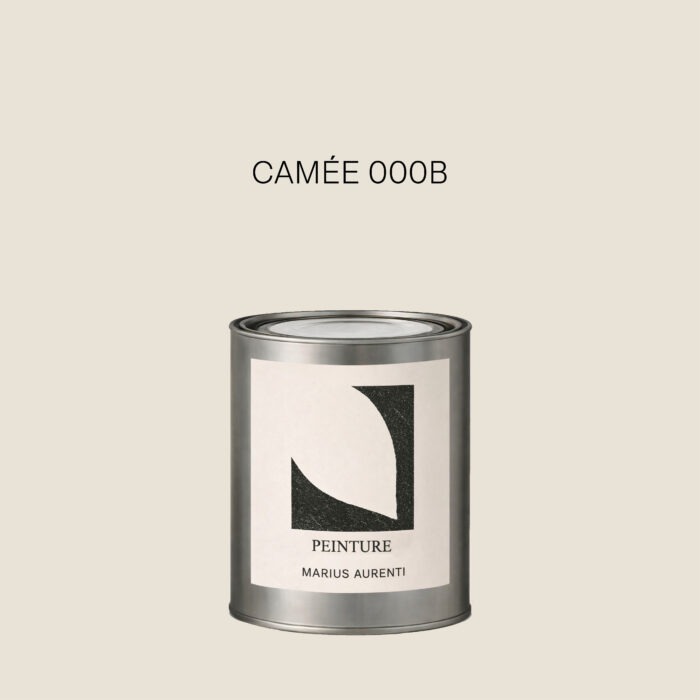 Peinture Camée 000B