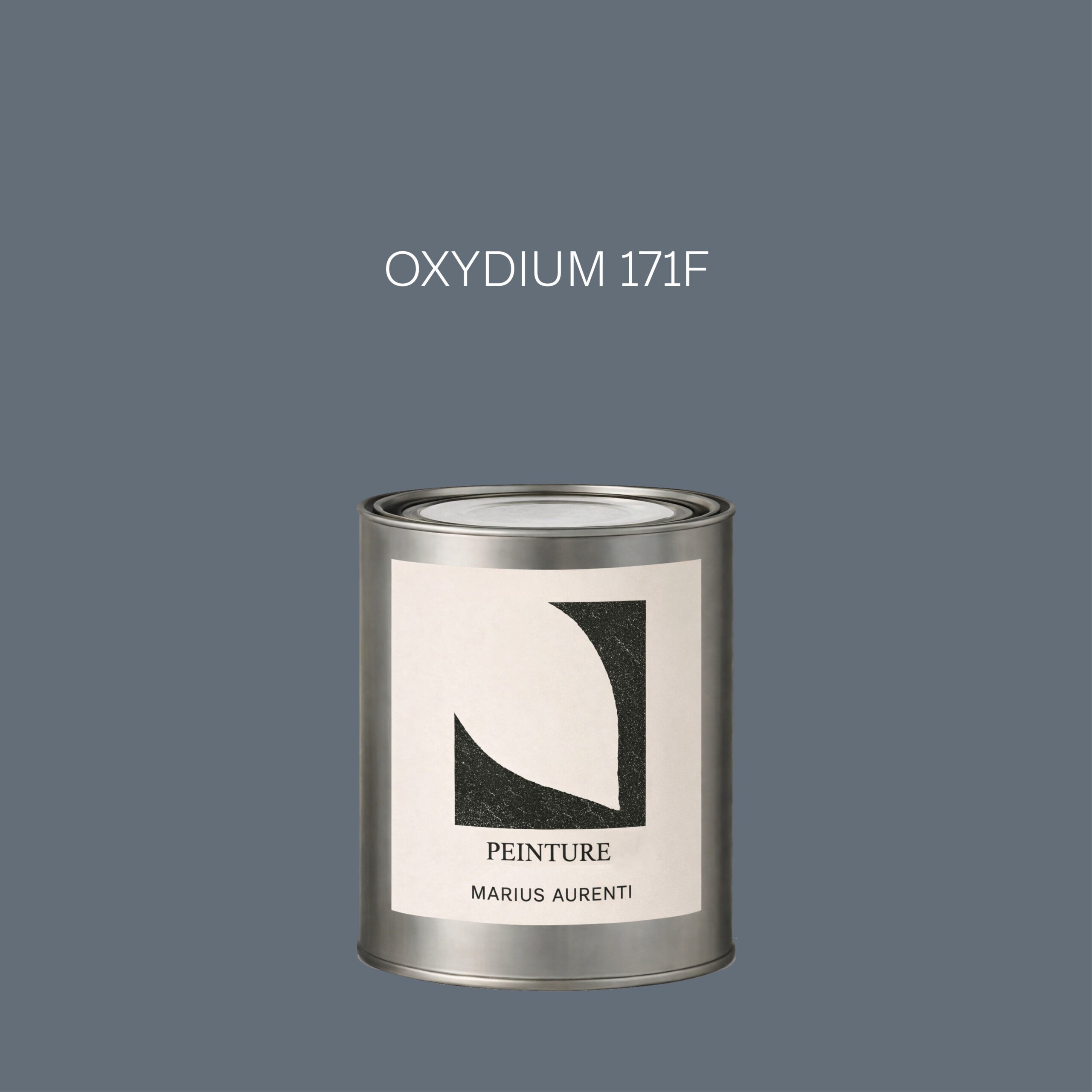 Peinture Oxydium 171F