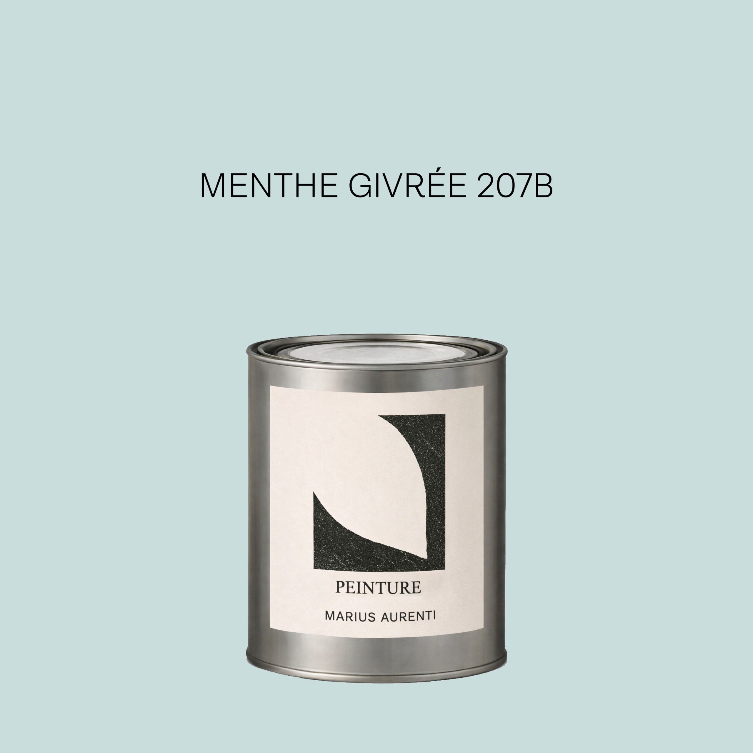 Peinture Menthe givrée 207B