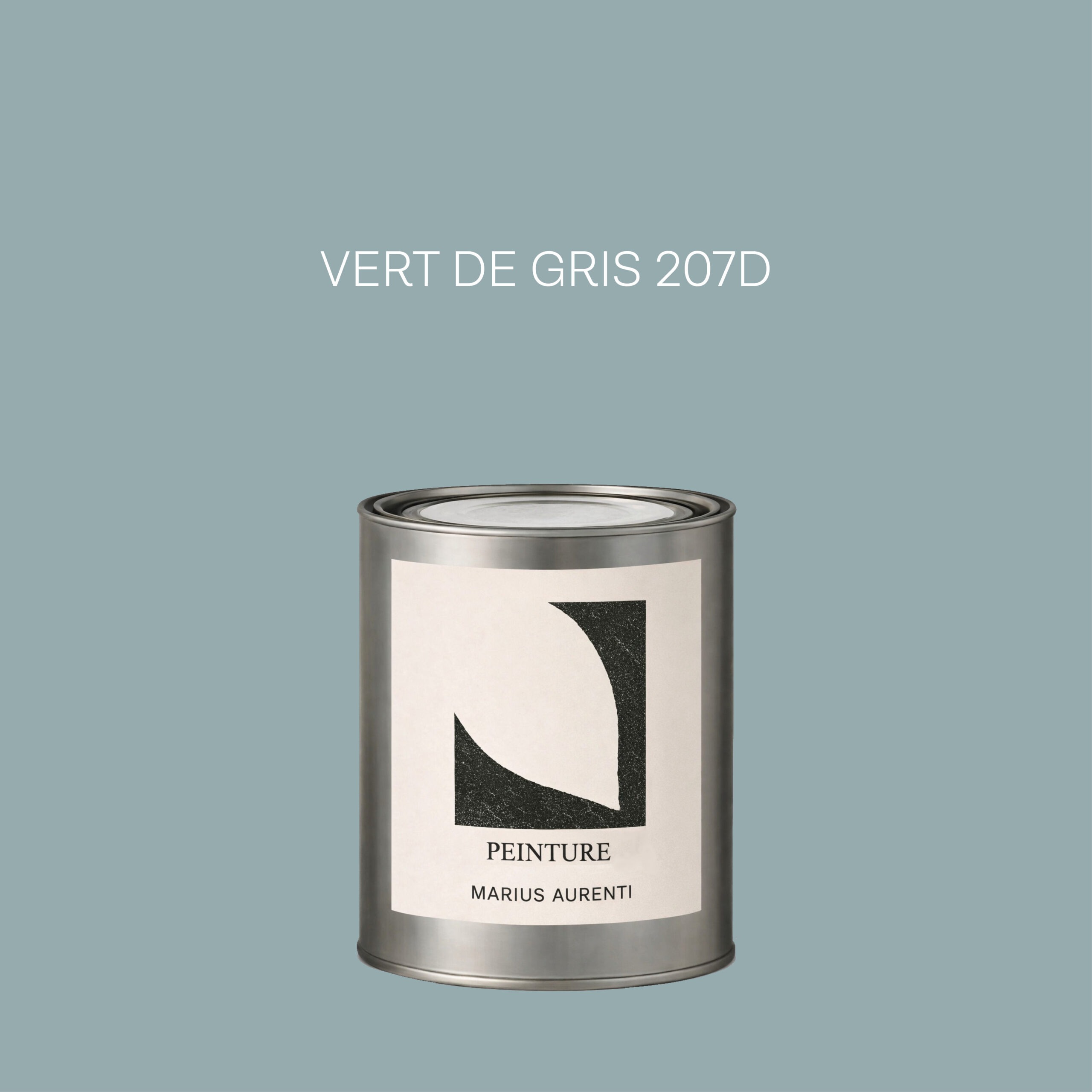 Peinture Vert de gris 207D