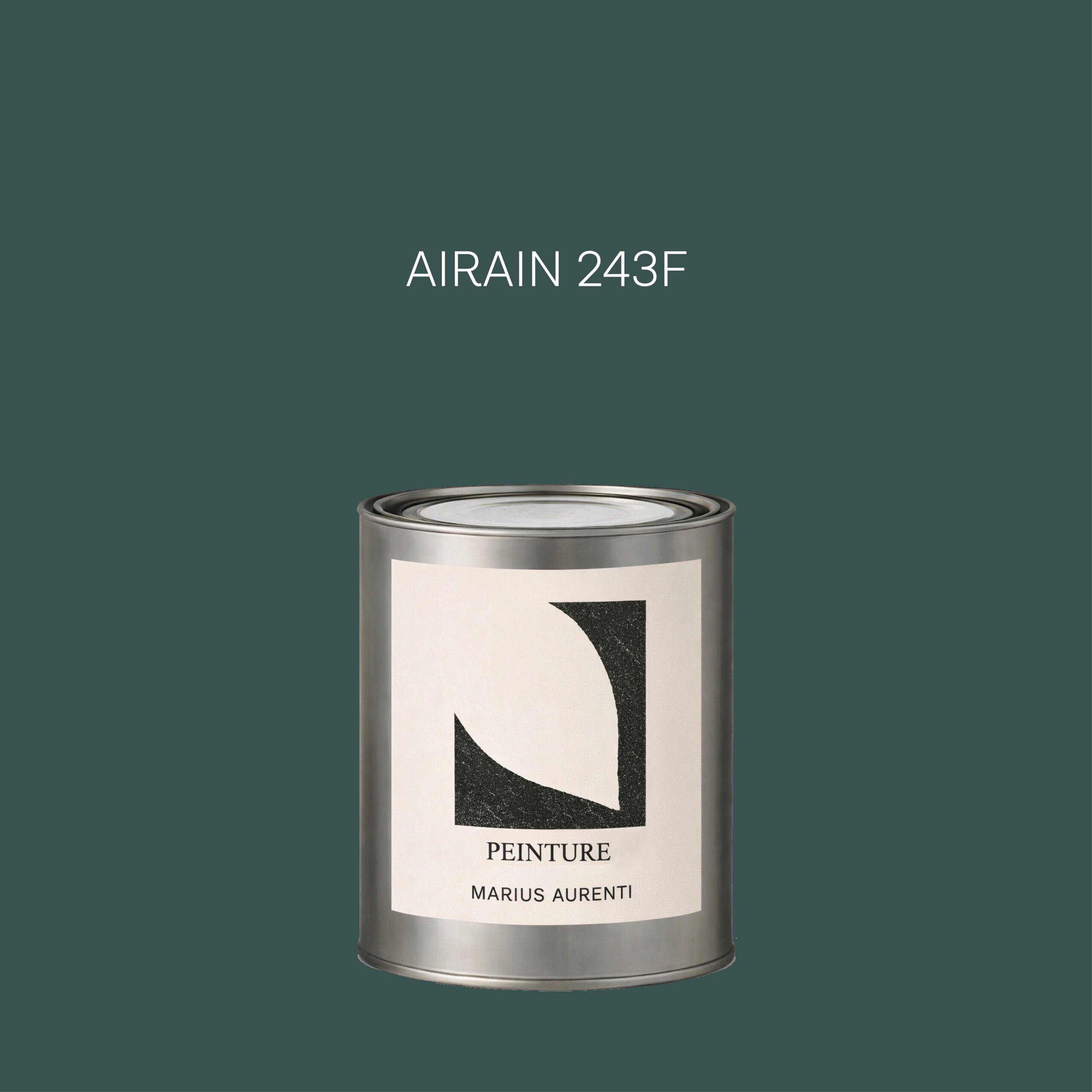 Peinture Airain 243F