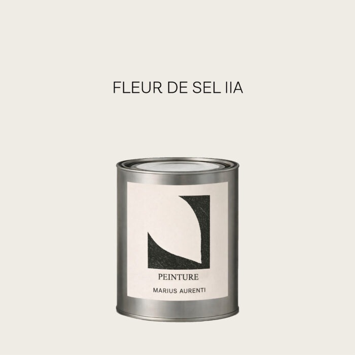 Peinture Fleur de sel IIA