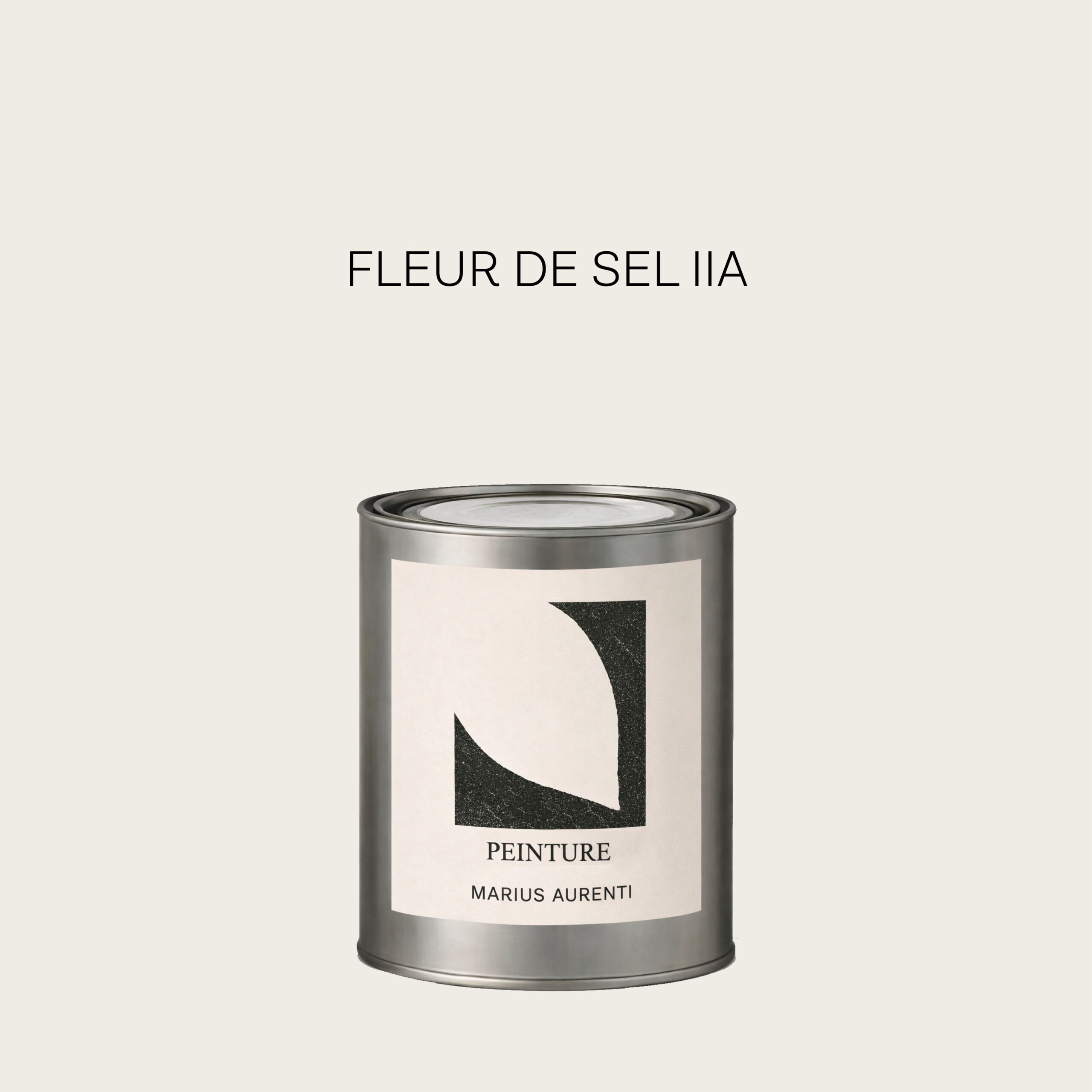 Peinture Fleur de sel IIA