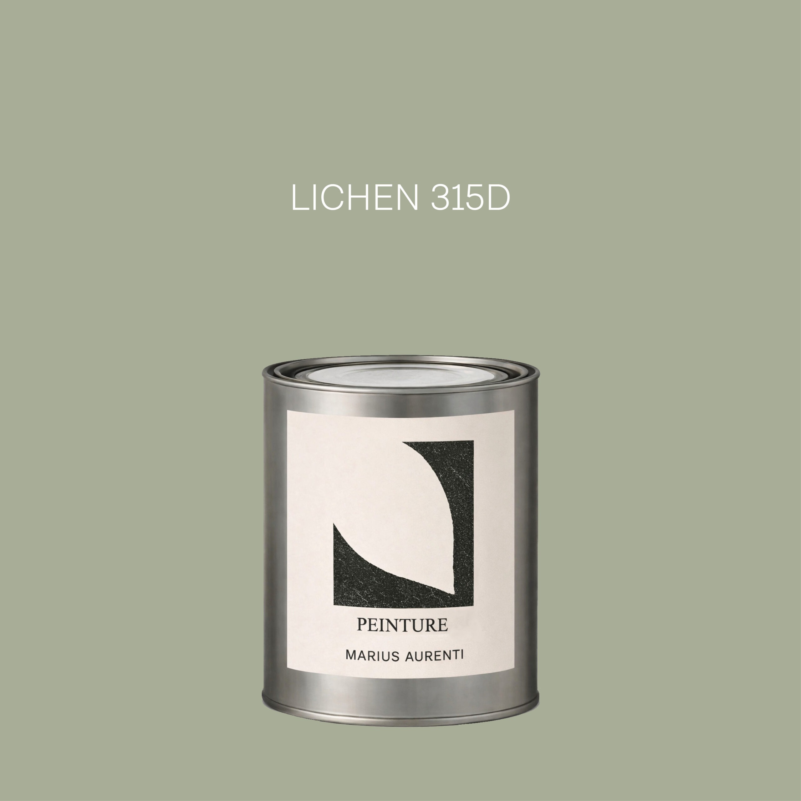 Peinture Lichen 315D