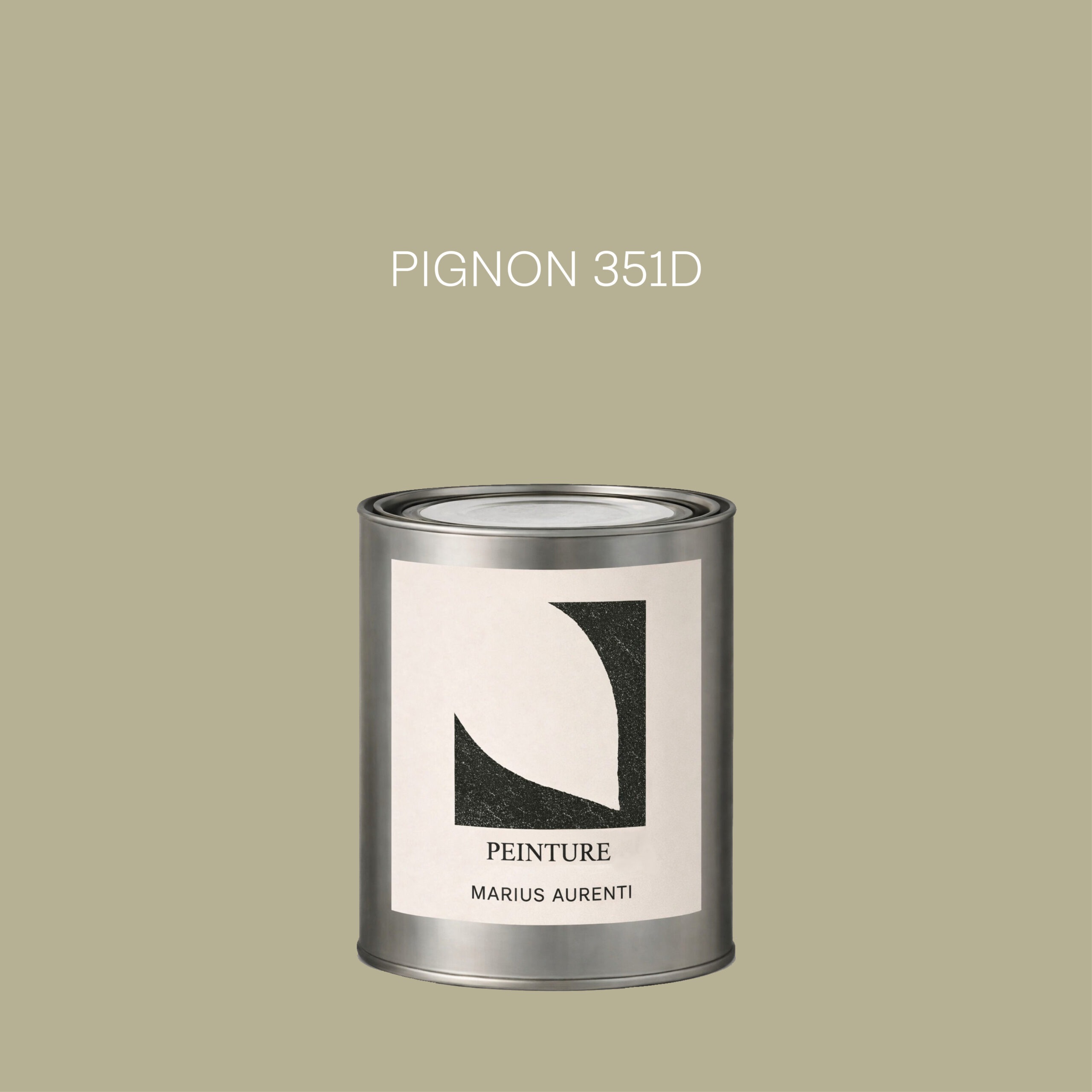 Peinture Pignon 351D