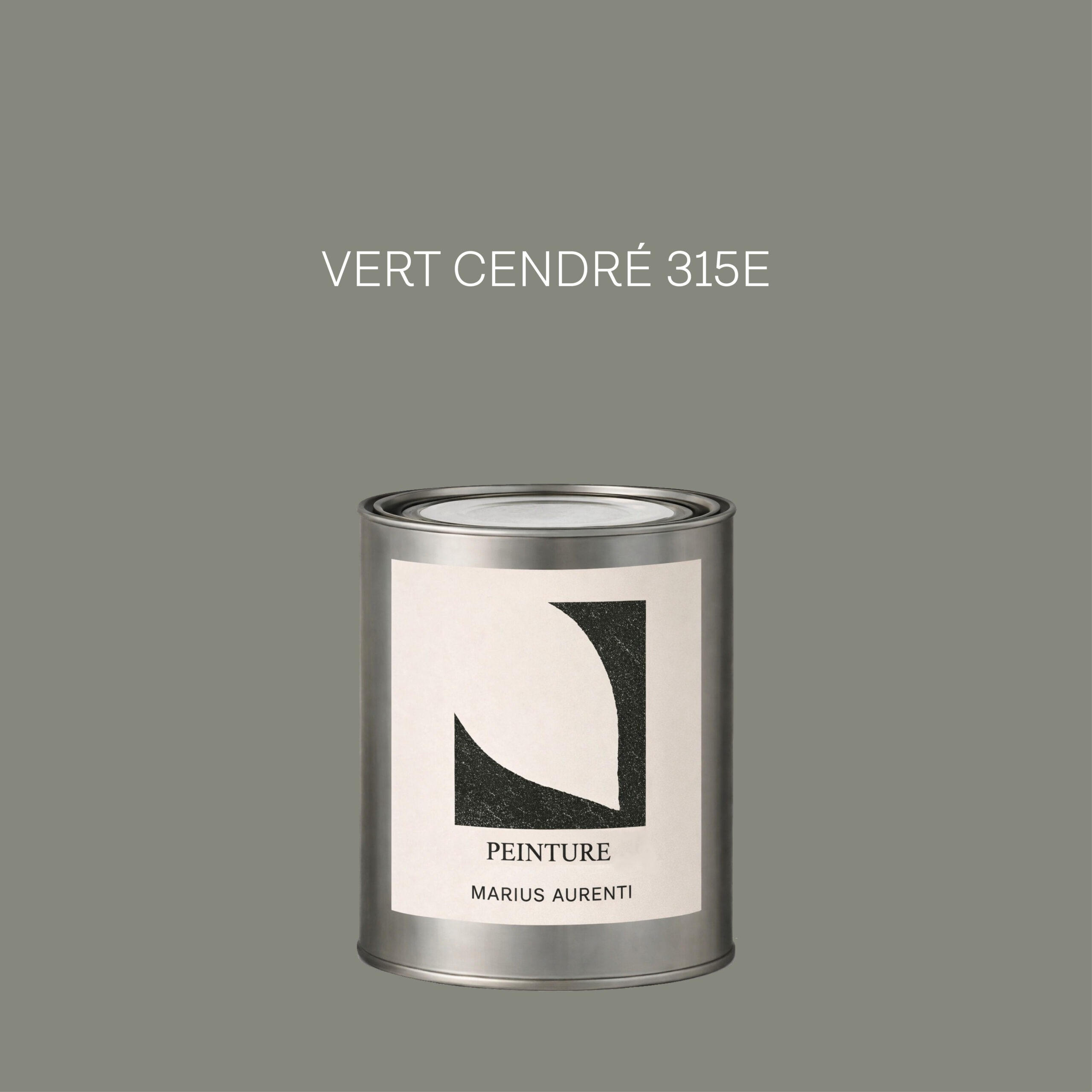 Peinture Vert cendré 315E