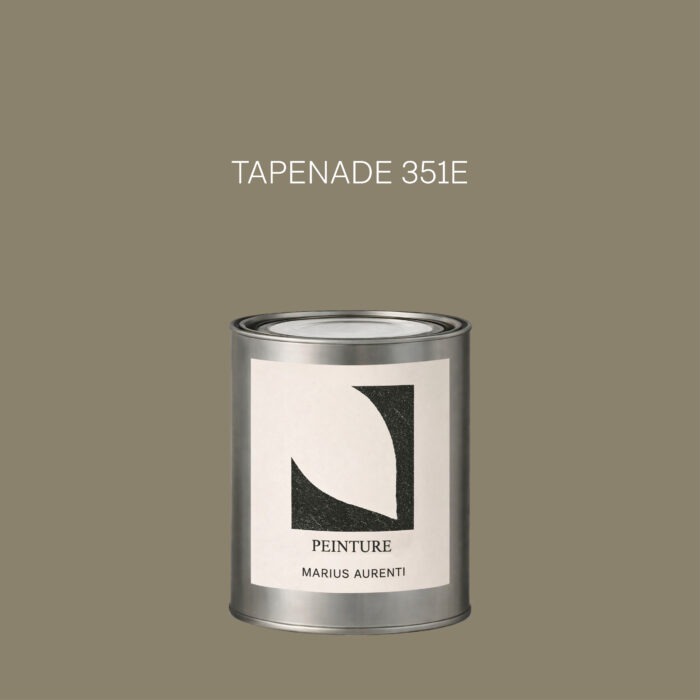 Peinture Tapenade 351E