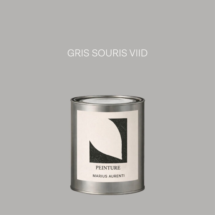 Peinture Gris souris VIID