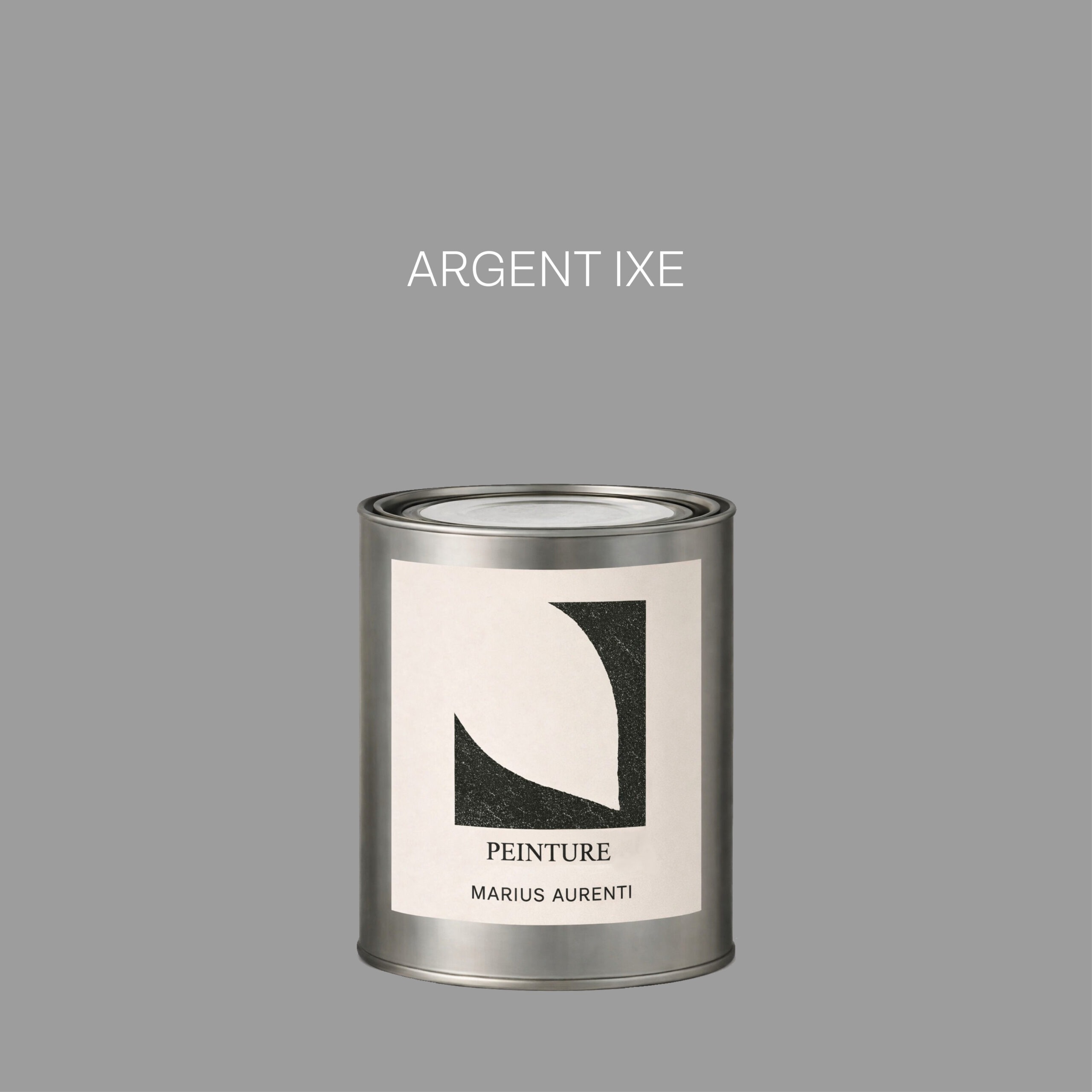 Peinture Argent IXE