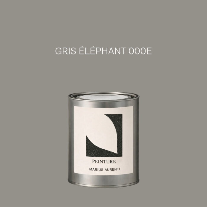 Peinture Gris éléphant 000E