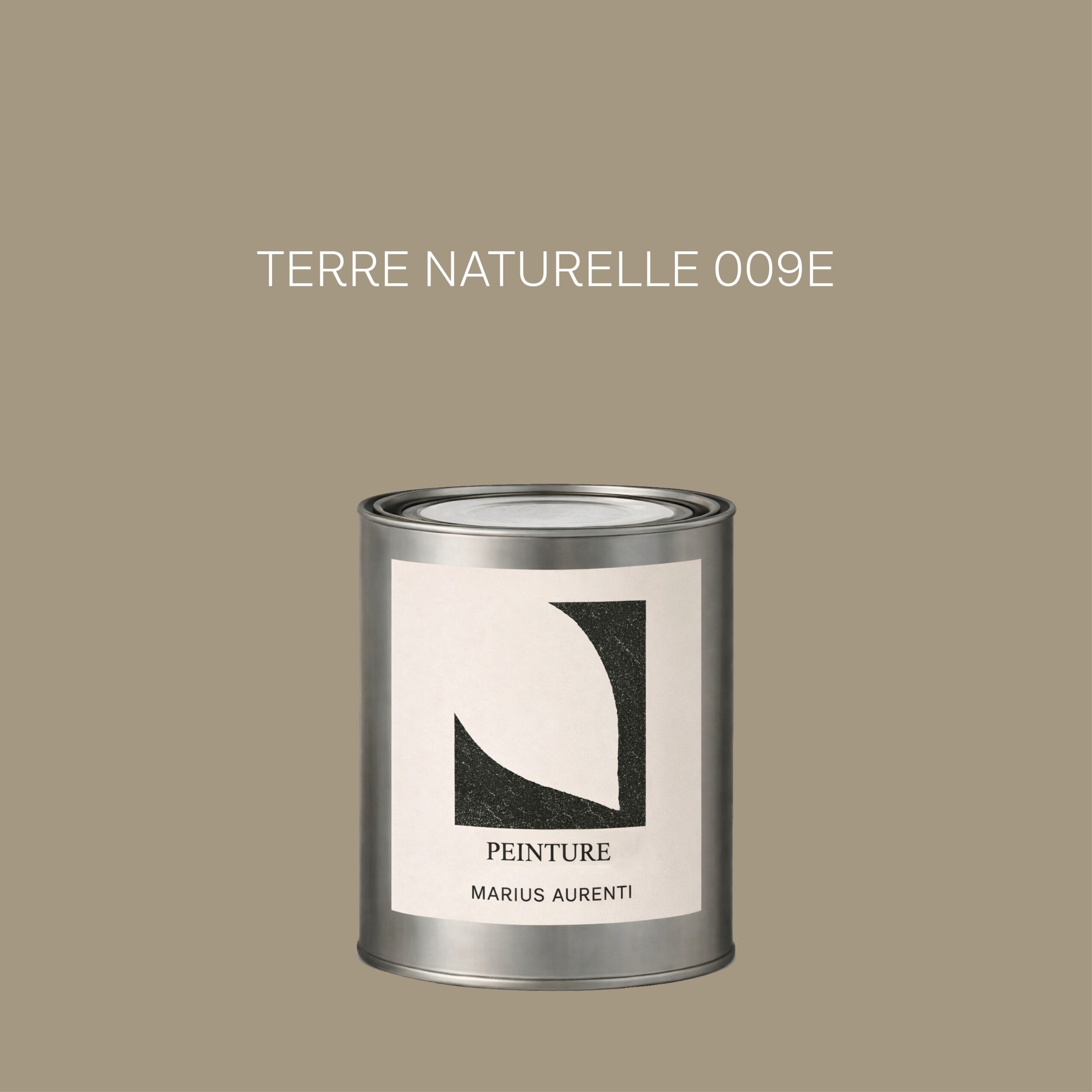 Peinture Terre naturelle 009E