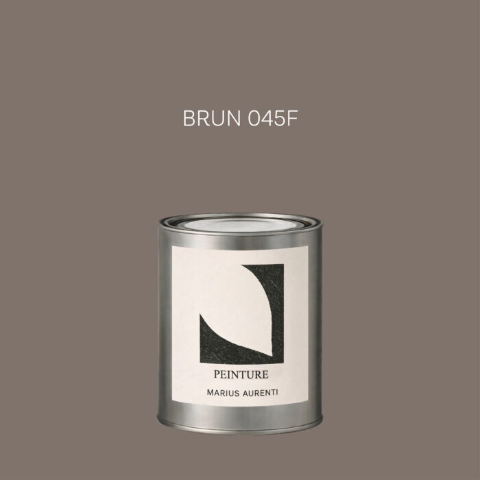 Peinture Brun 045F