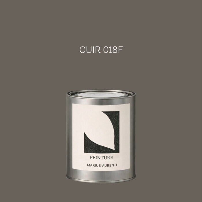 Peinture Cuir 018F