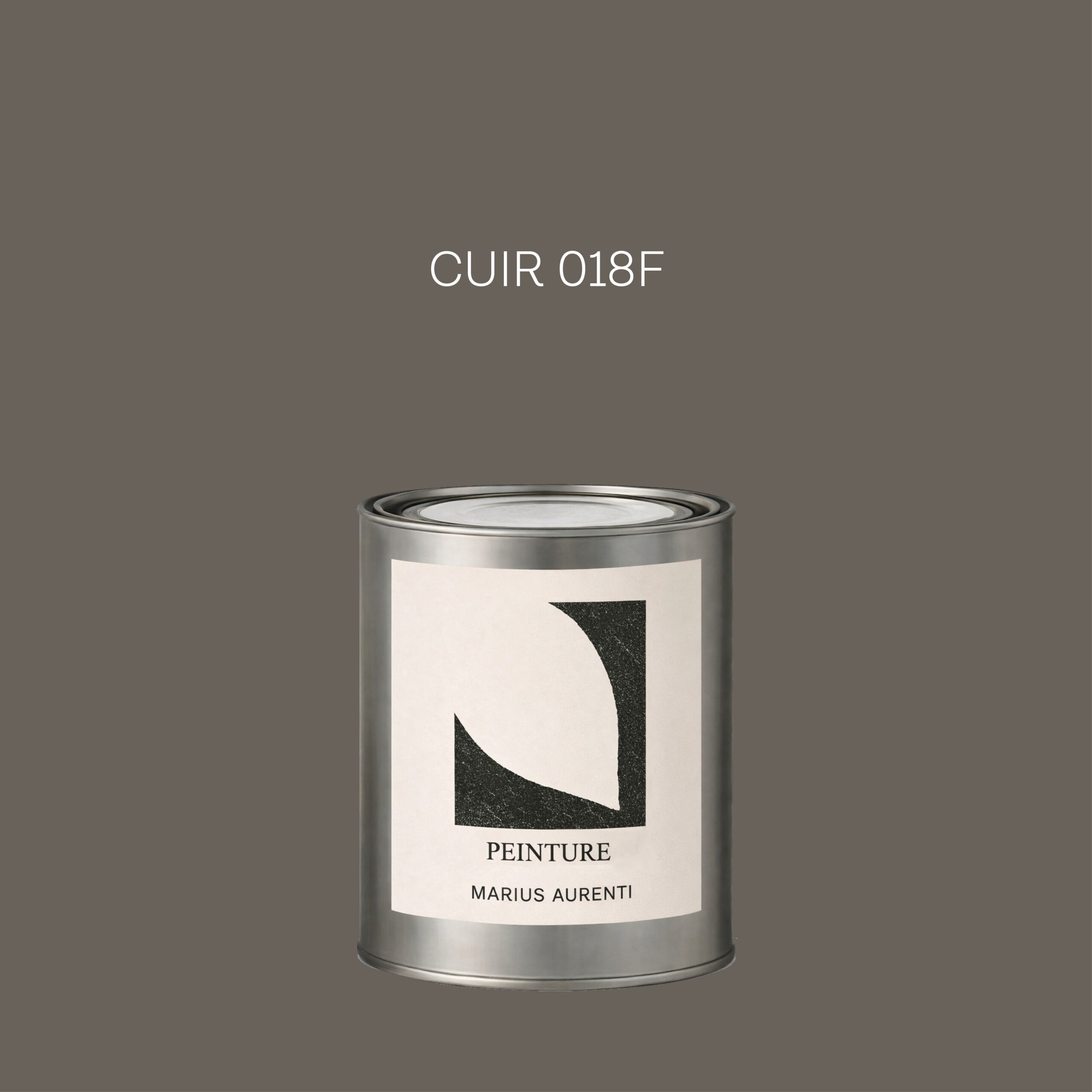 Peinture Cuir 018F