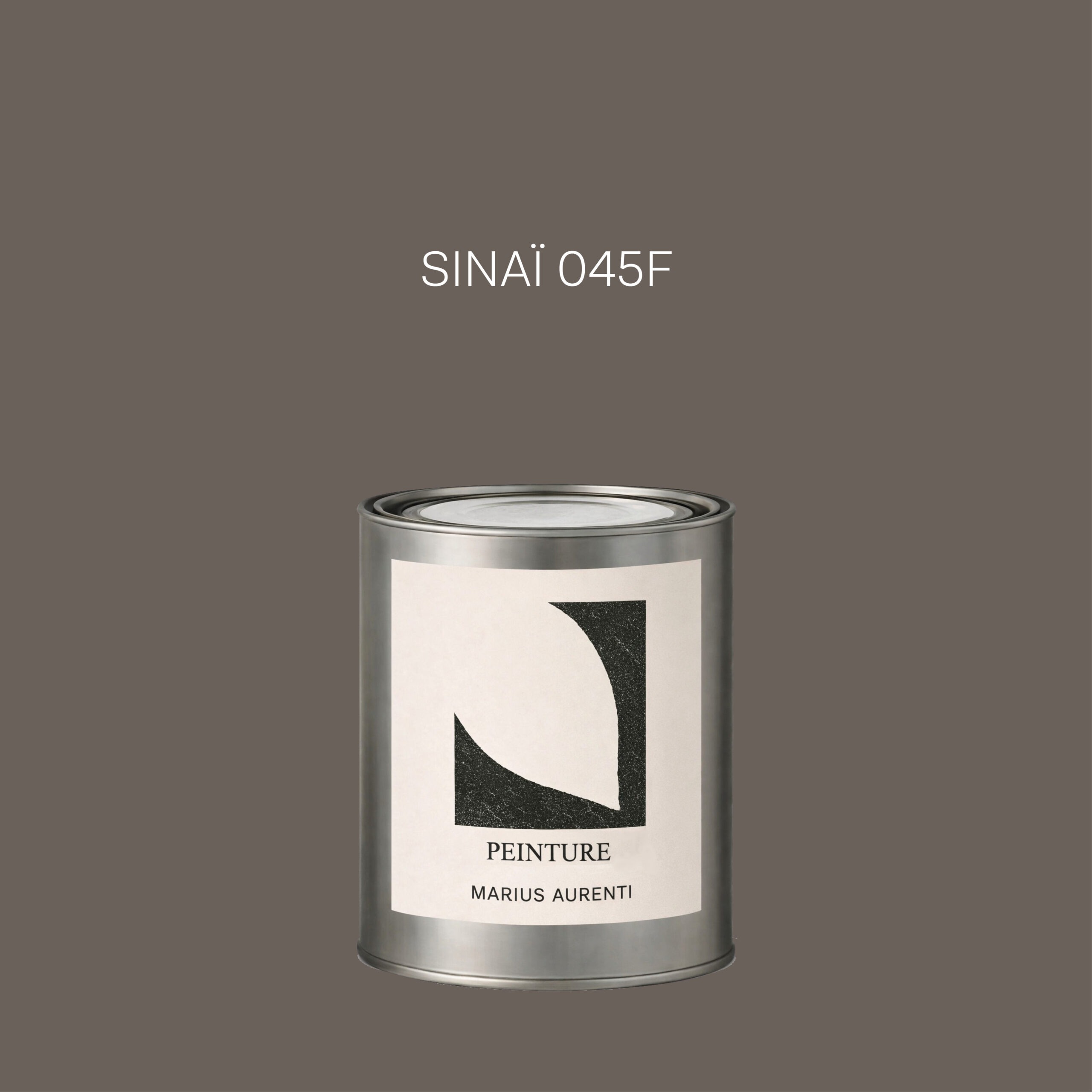 Peinture Sinaï 045F